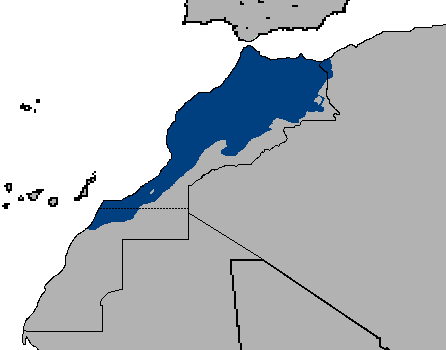Morocco PNG - 11296