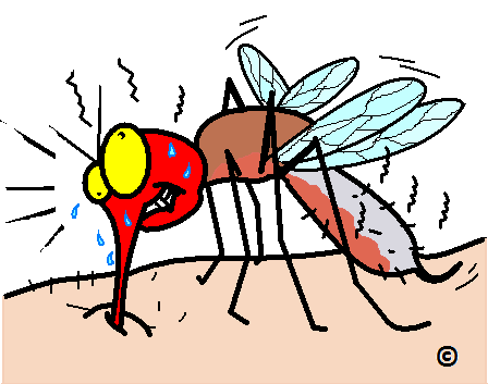 Mosquito Bite Itch