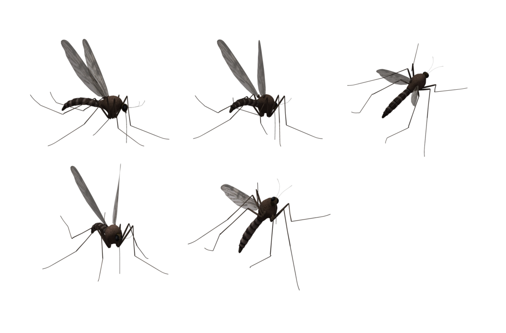 Cartoon, Mosquito, Spreading