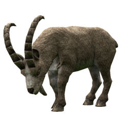 Mountain Goat (Platypus)4.png