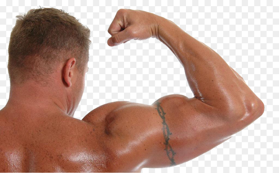 Muscle Arm PNG HD - 140336