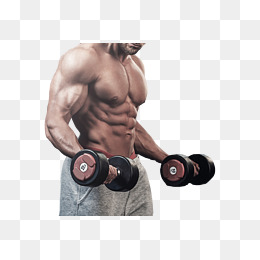 Muscle Arm PNG HD - 140352