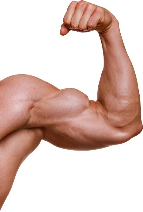 Muscle Arm PNG HD - 140343