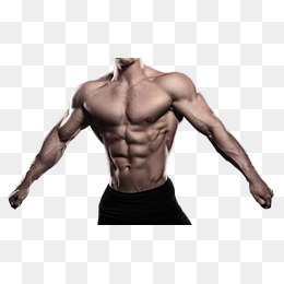 Muscle Arm PNG HD - 140341