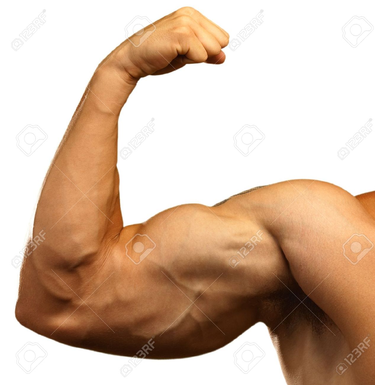Muscle Arm PNG HD - 140347