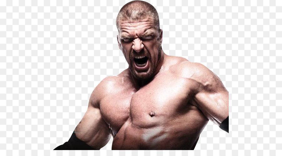 WWE 2K14 Randy Orton WWE 13 W