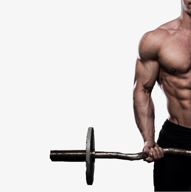 Muscle PNG HD - 128372