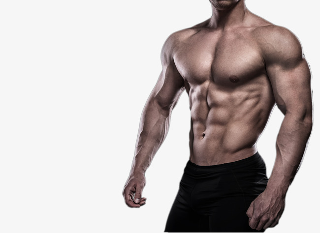 Muscle PNG HD-PlusPNG.com-150