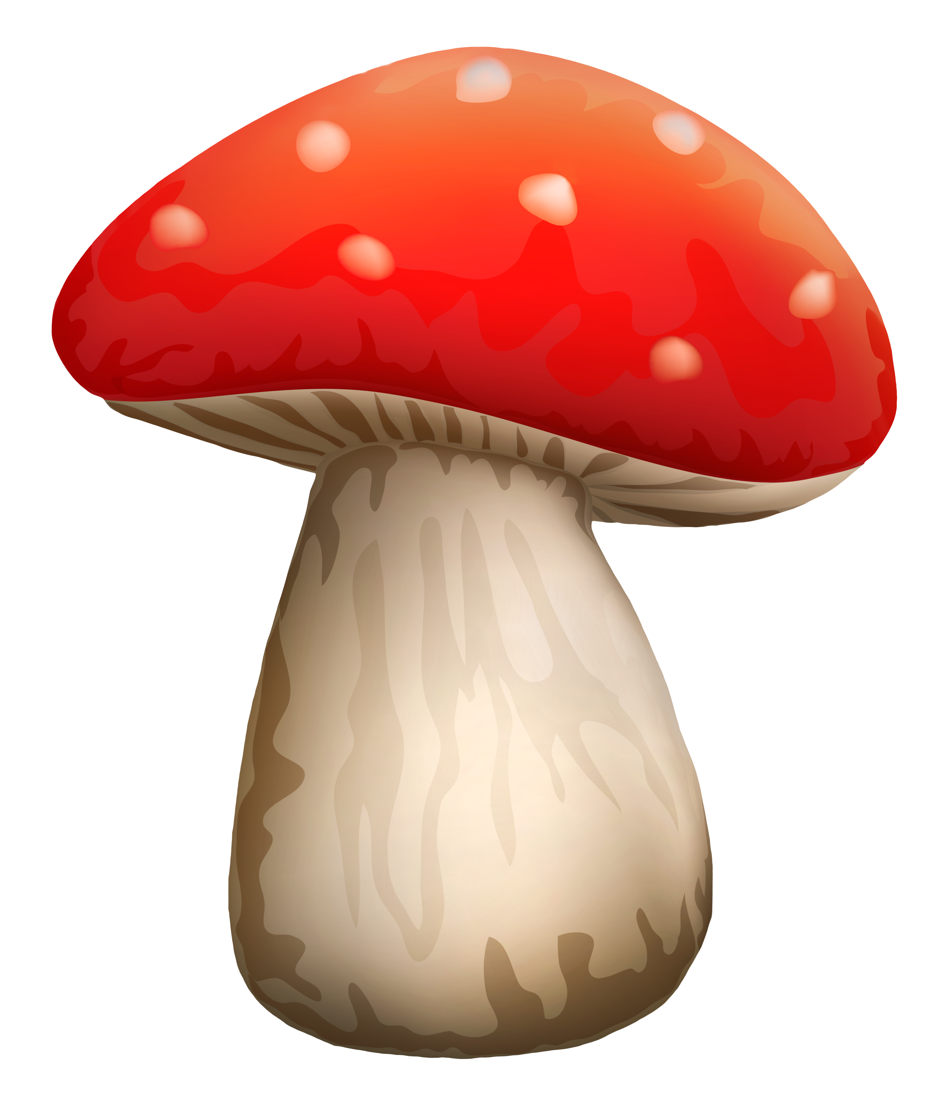 White mushrooms PNG image - M