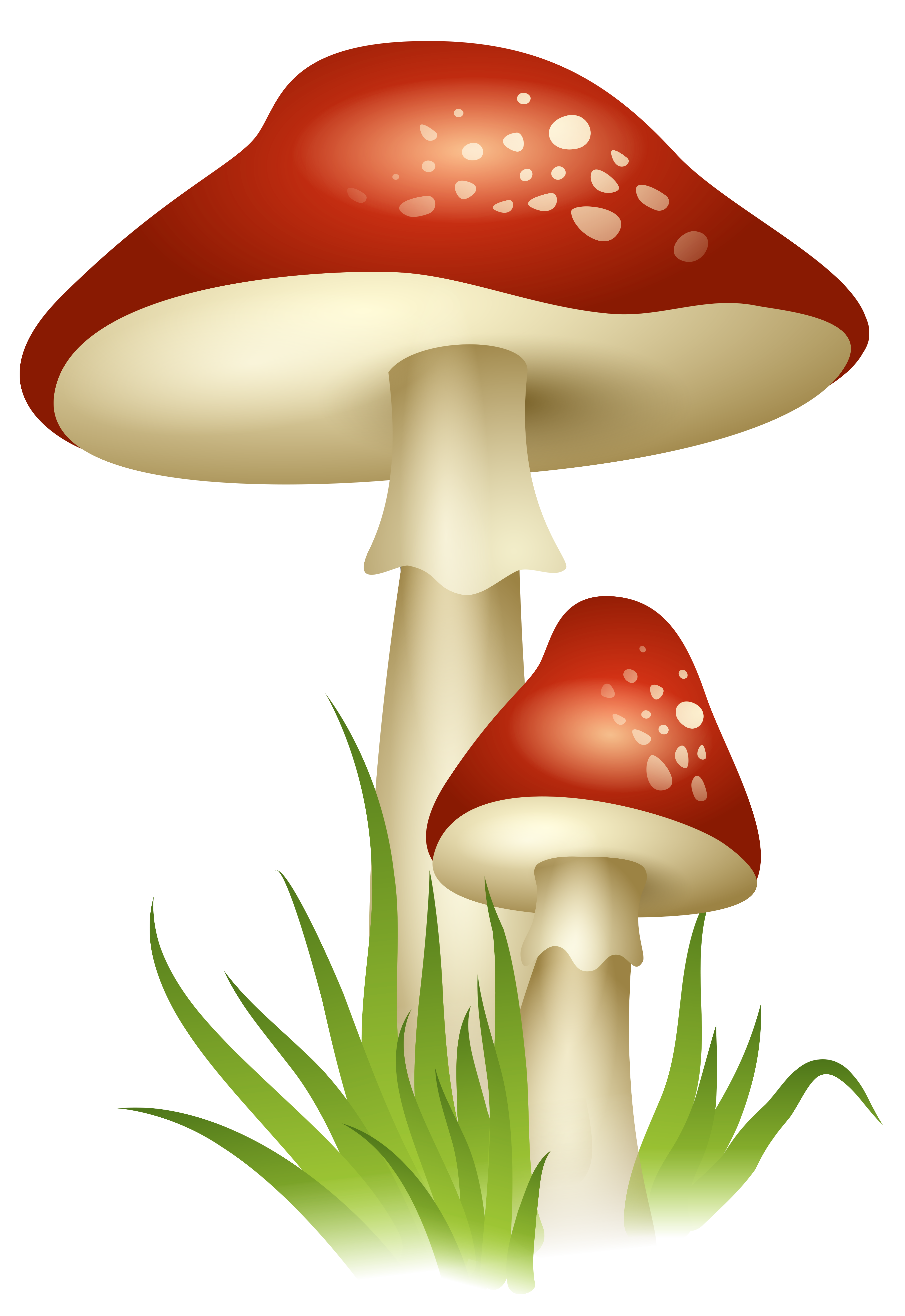Mushroom HD PNG - 117574