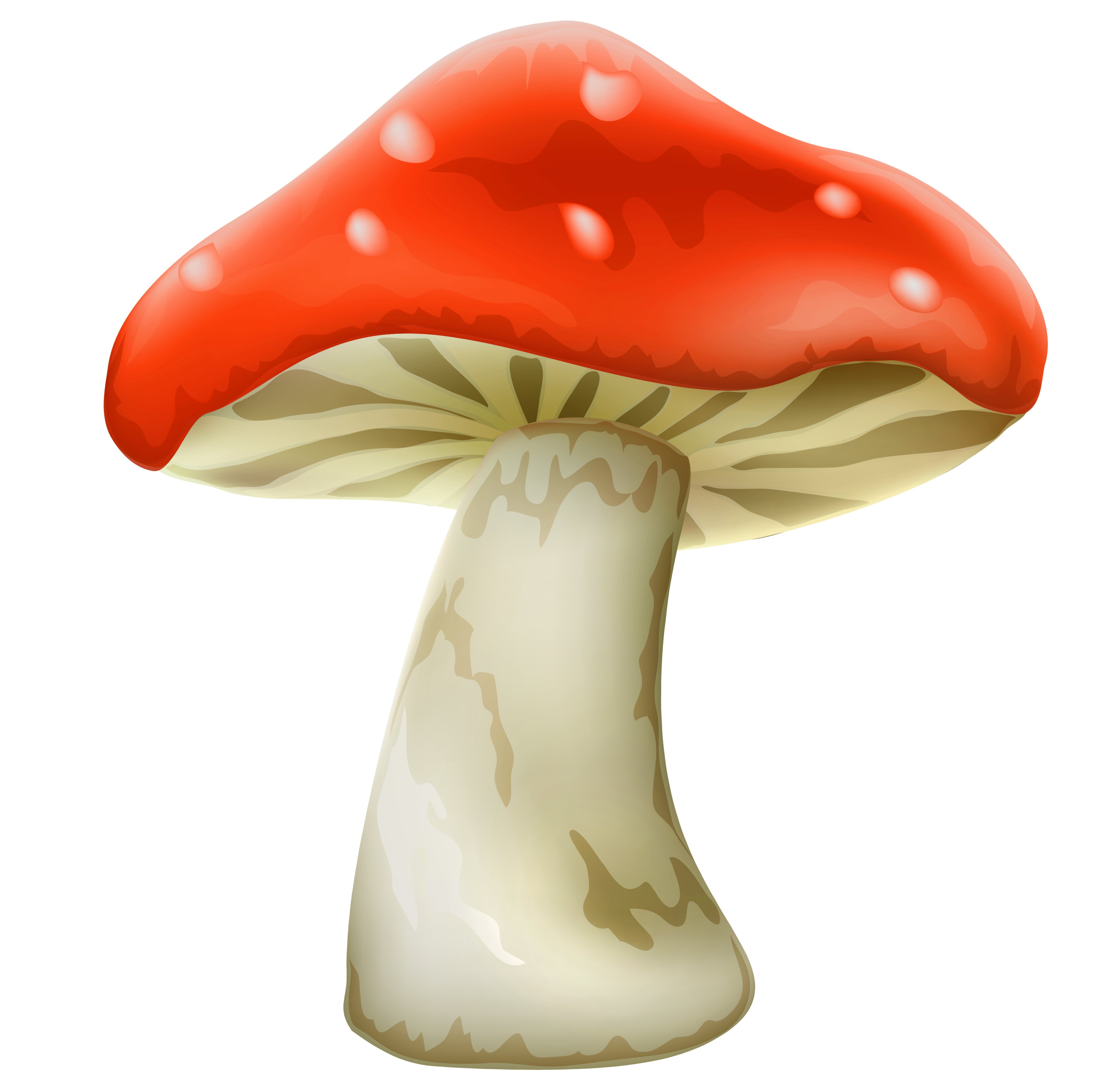 Mushroom PNG - 24337