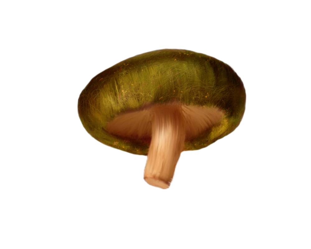 Mushroom PNG - 11753