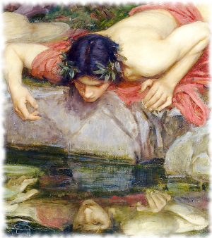 Collection of Narcissus Greek Mythology PNG. | PlusPNG