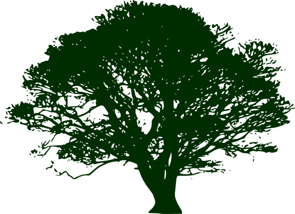 Transparent Green Tree Clipar