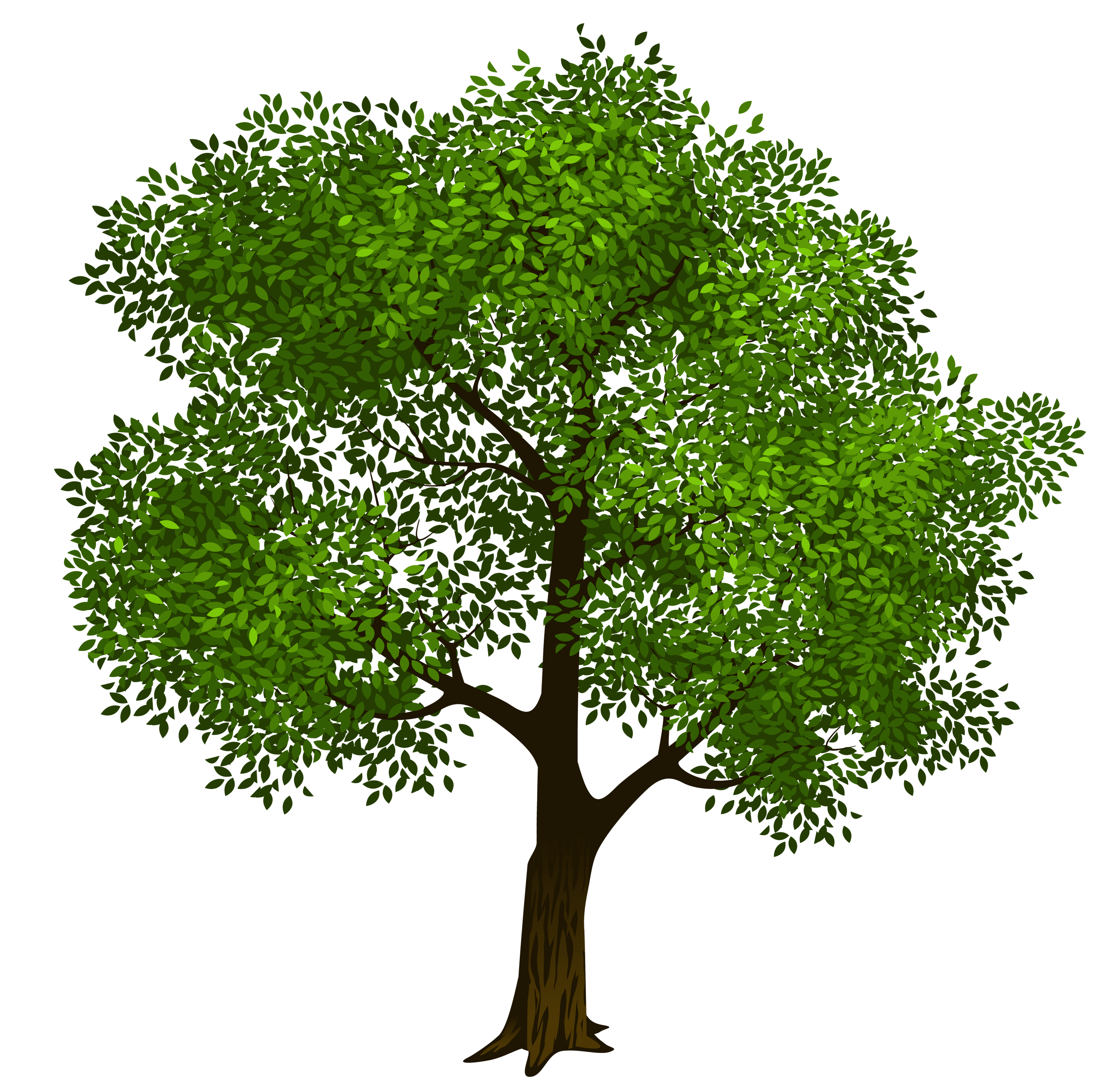 Transparent Green Tree Clipar