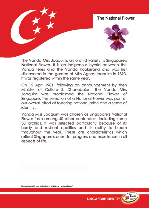 National Flower Of Singapore Vanda Miss Joaquim PNG - 48160
