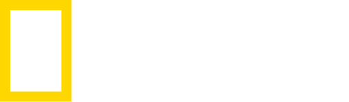 National Geographic Channel Logo PNG - 34235