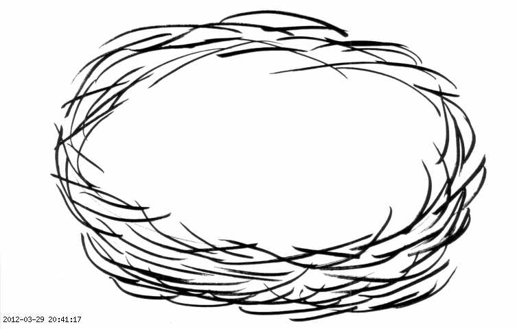 Nest Drawing PNG - 74581
