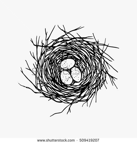 Nest Drawing PNG - 74579