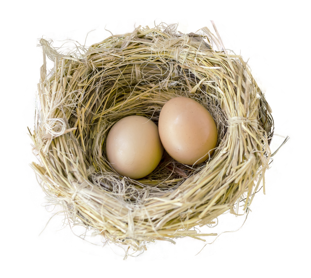 Nest PNG - 15870