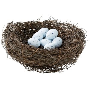 Nest PNG - 23506
