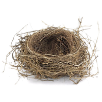 Nest PNG - 23493