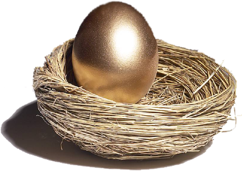 Nest PNG - 15882