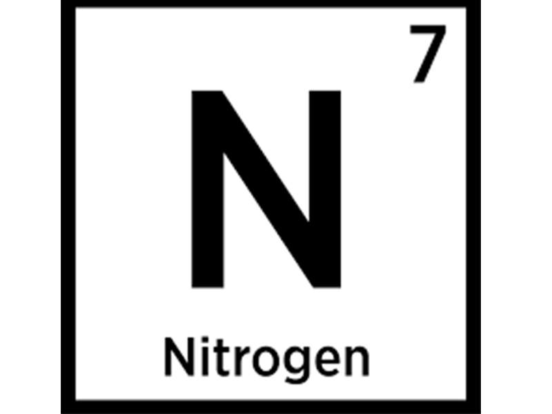 N2 neues Logo