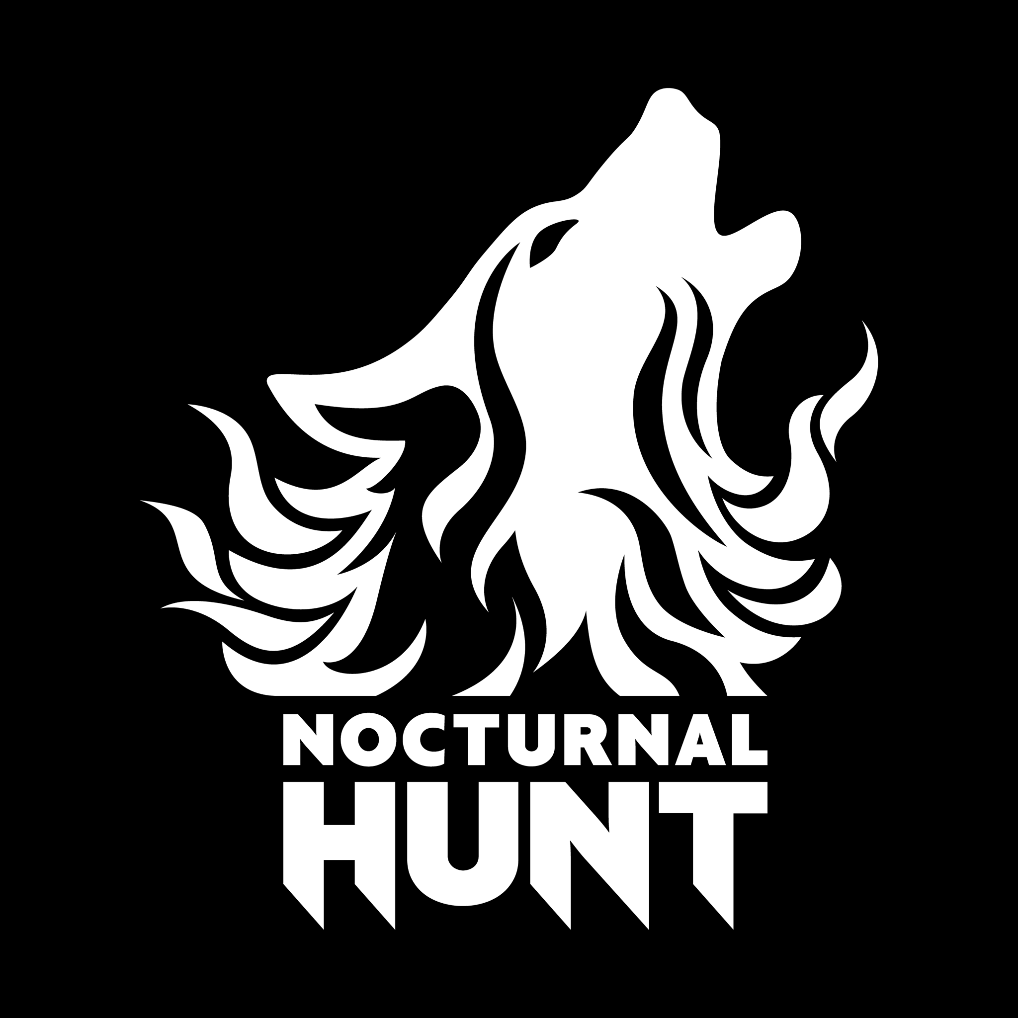 Nocturnal PNG - 74097