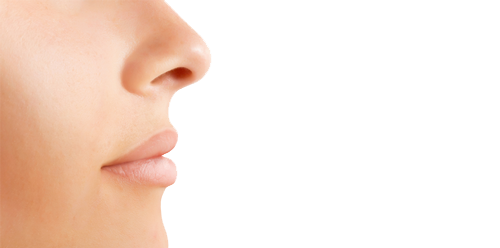 Nose PNG HD