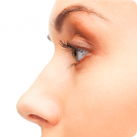 Free Nose Clipart #34