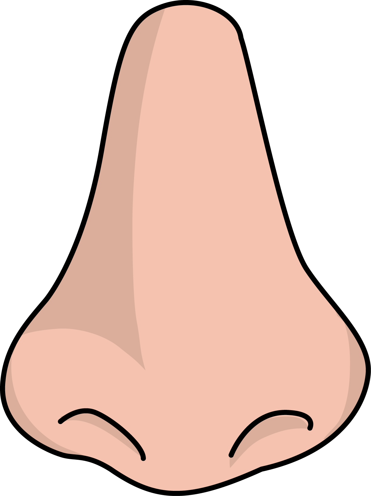 Similar Nose PNG Image