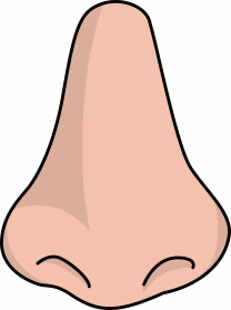Nose PNG HD - 143439