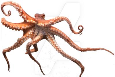 PNG File Name: Cute Octopus P