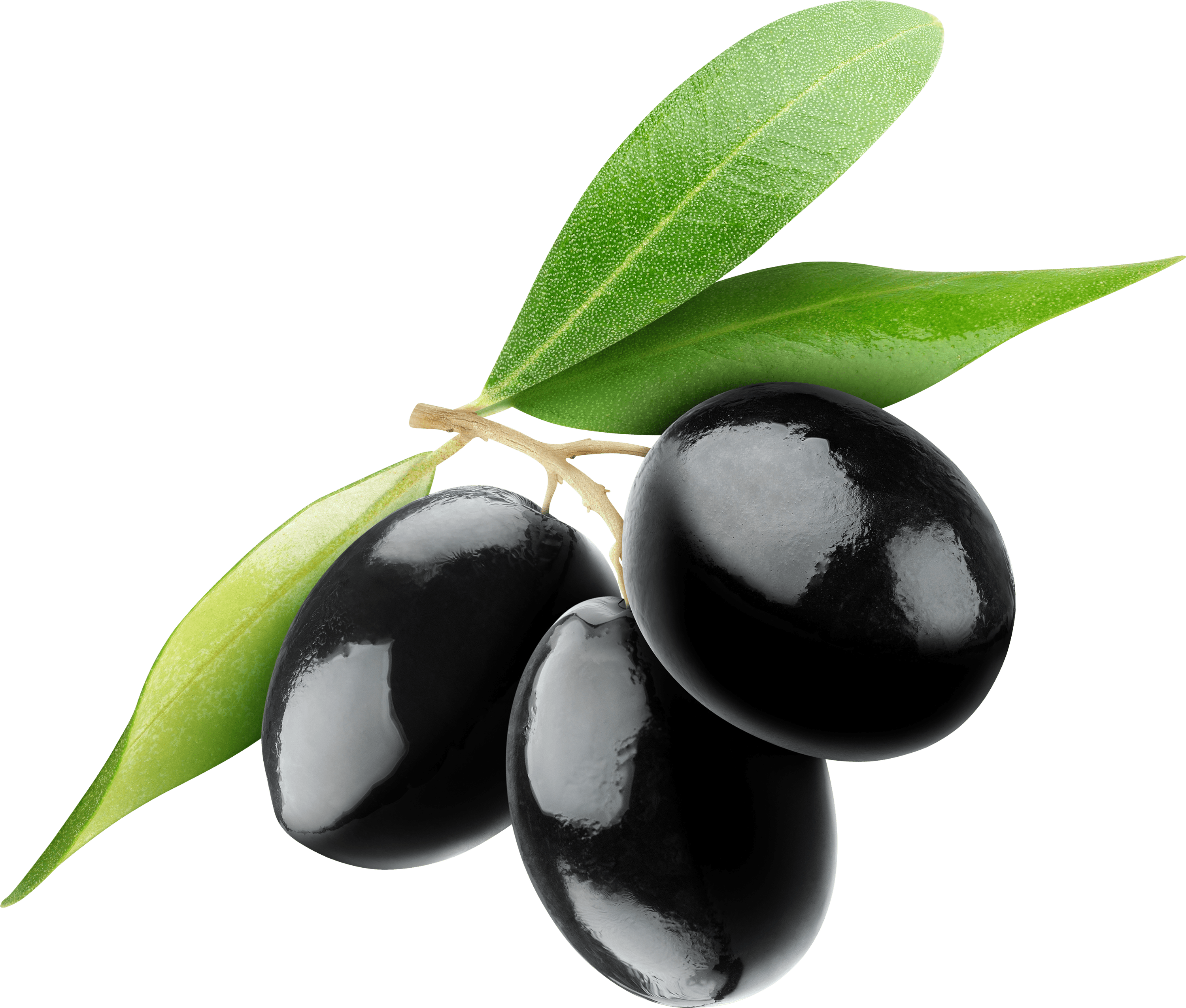 free png Olives in Bowl PNG i
