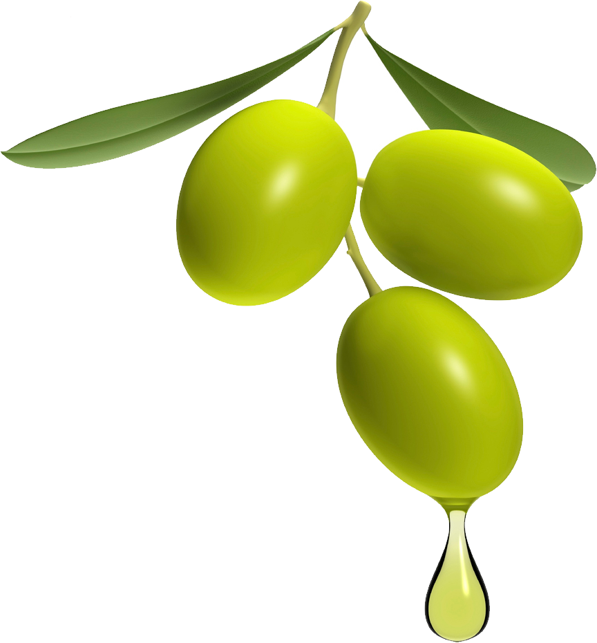 Collection of Olives HD PNG. | PlusPNG