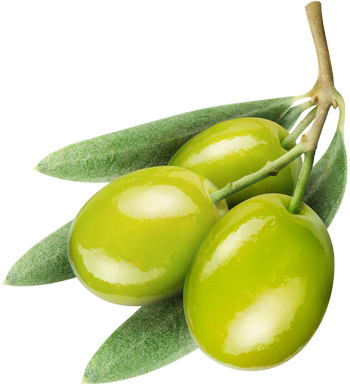 Olives HD PNG - 149452