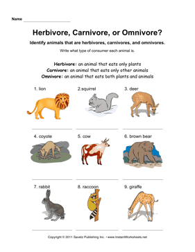 Omnivore Animals PNG - 77390