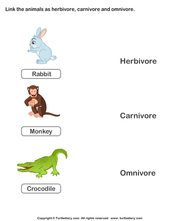 Omnivore Animals PNG