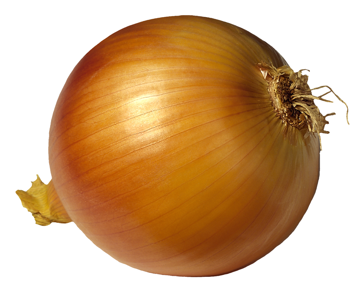 Onion HD PNG - 117512