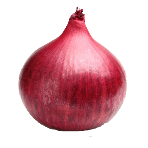 Onion HD PNG - 117511