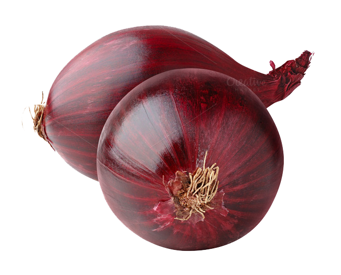 Onion HD PNG - 117517