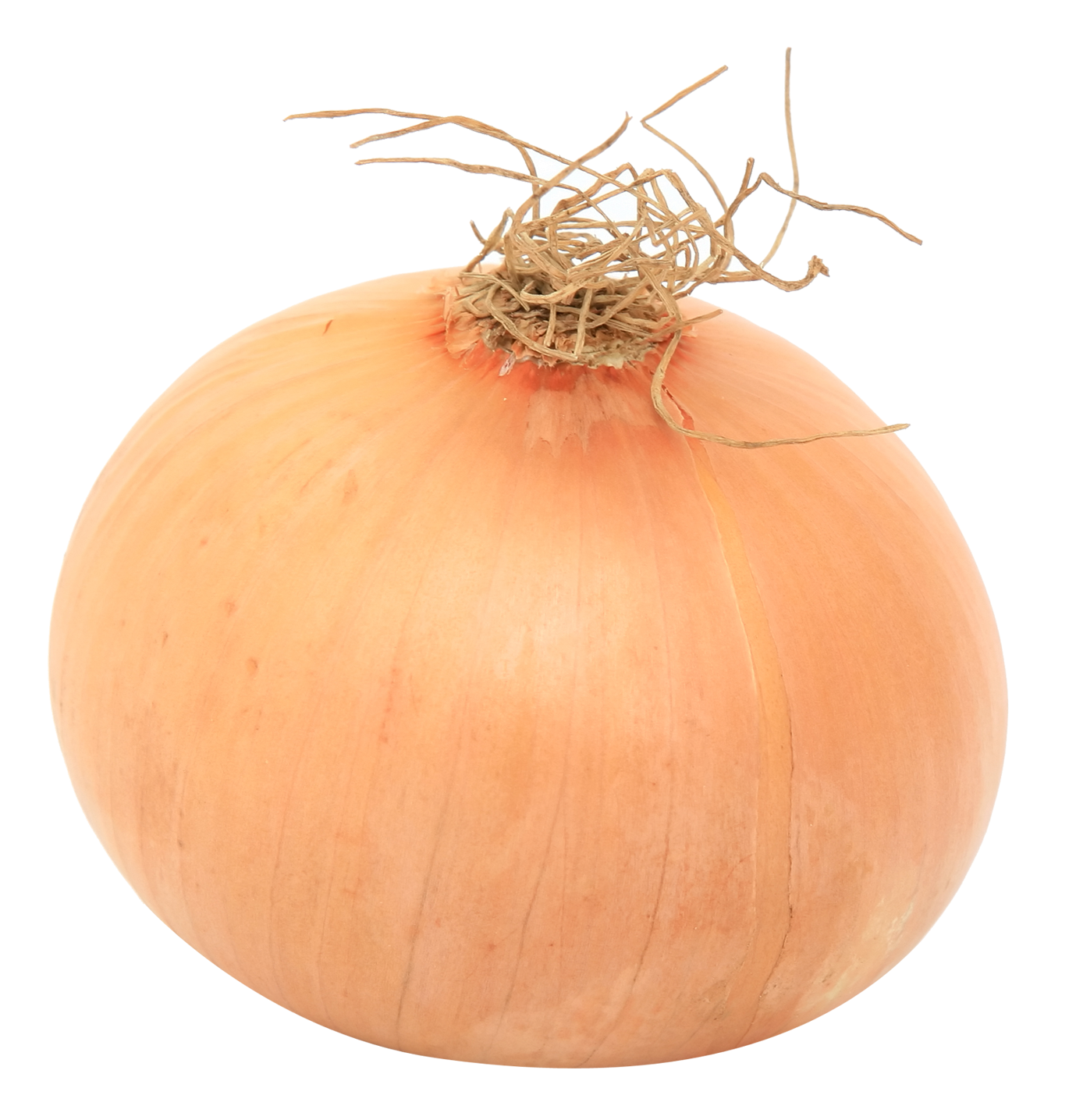 Onion PNG - 27710