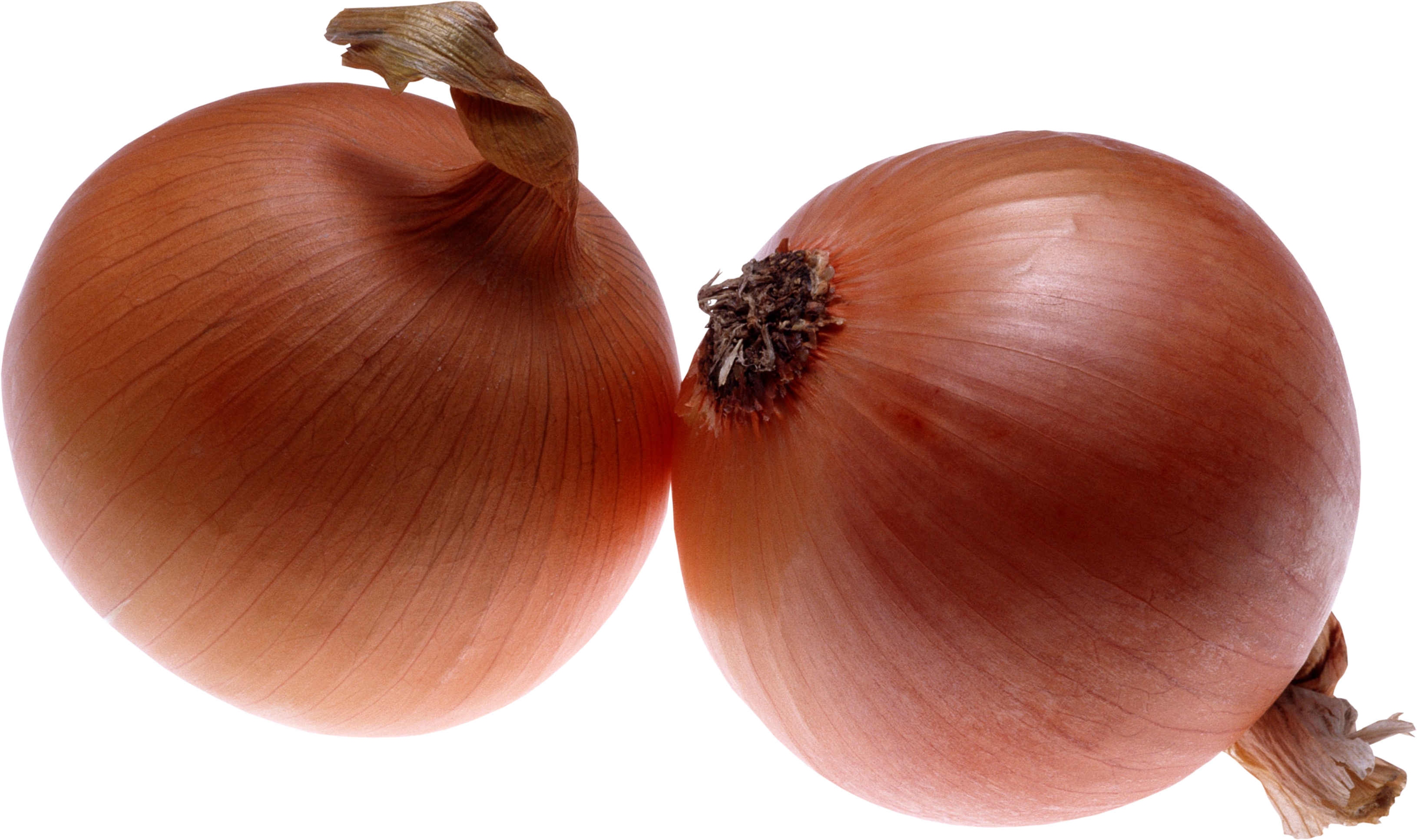 Onion PNG - 27711