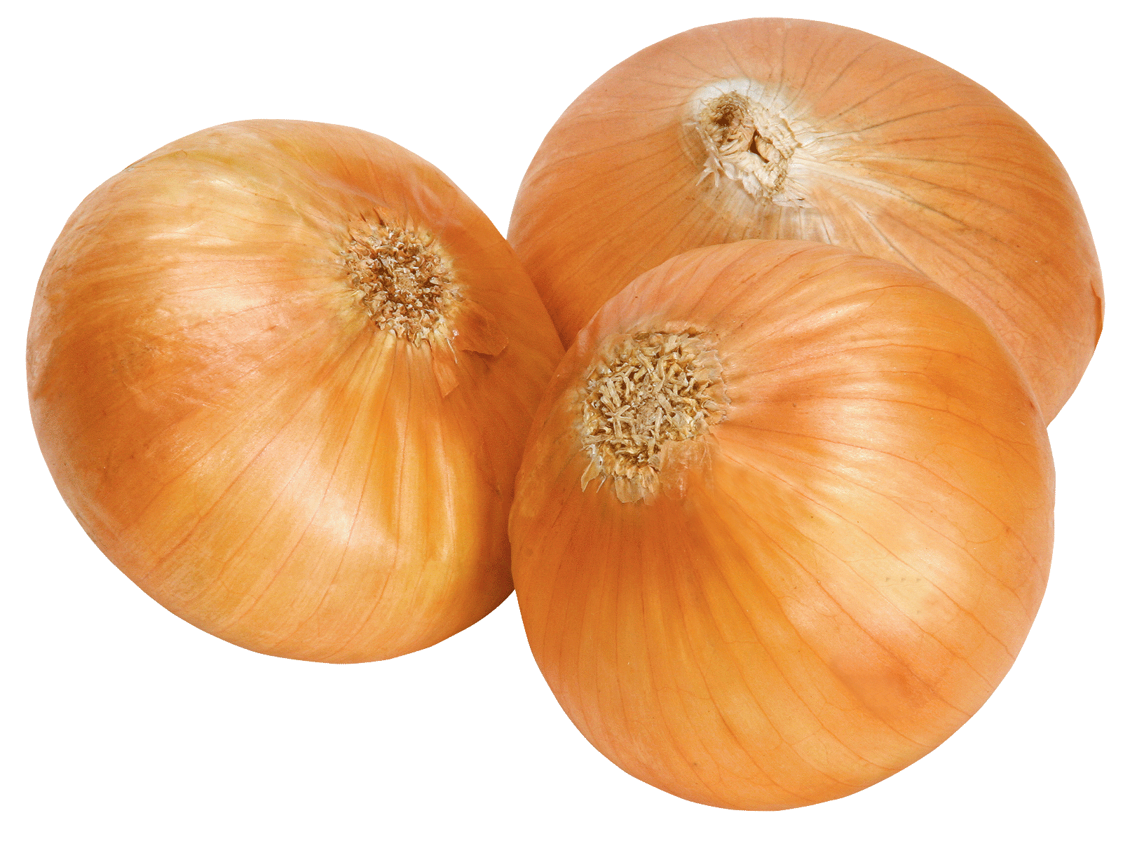 Red Sliced Onion PNG image
