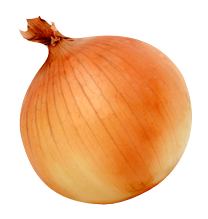 Onion PNG - 27706