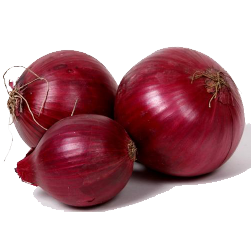 Onion PNG - 27704