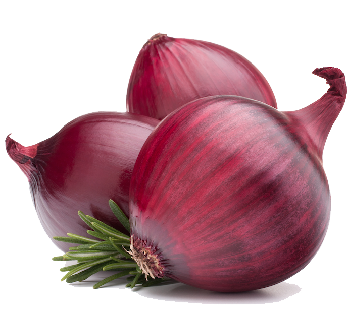 Red Onion PNG Image