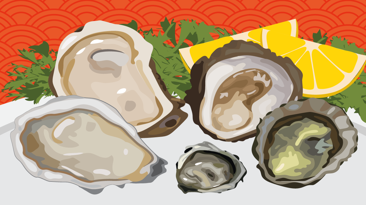 Open Oyster PNG - 73103