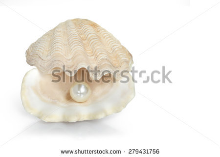 Open Oyster PNG - 73096